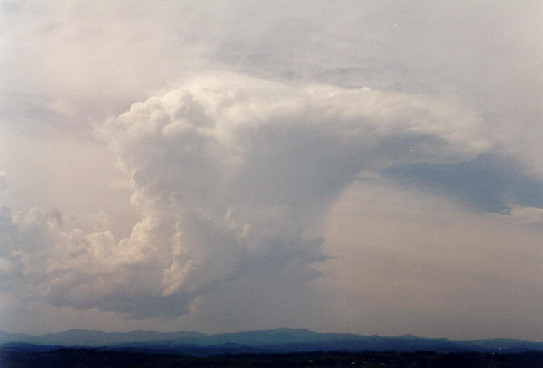 pileus pileus_cap_cloud : McLeans Ridges, NSW   26 December 2003