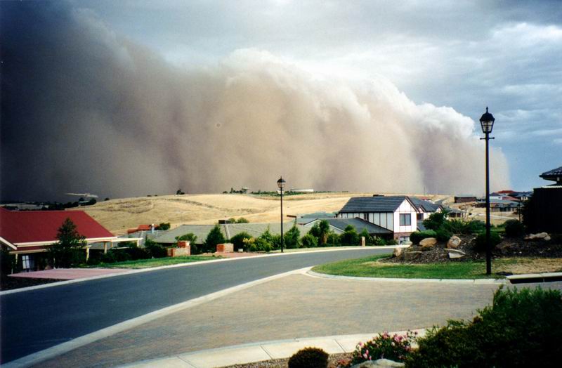 contributions received : Golden Grove, SA<BR>Photo by Cliff Beale   1 January 2004