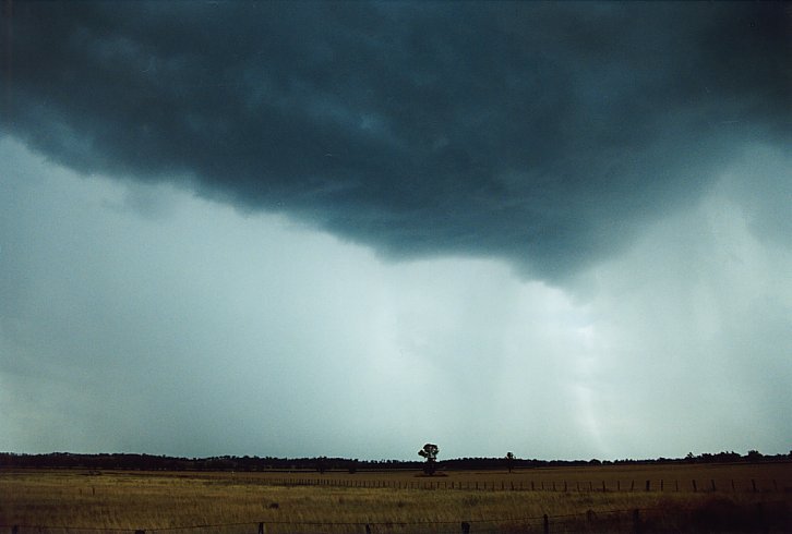 cumulonimbus thunderstorm_base : Quirindi, NSW   10 January 2004