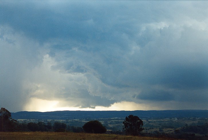 cumulonimbus thunderstorm_base : S of Camden, NSW   23 January 2004
