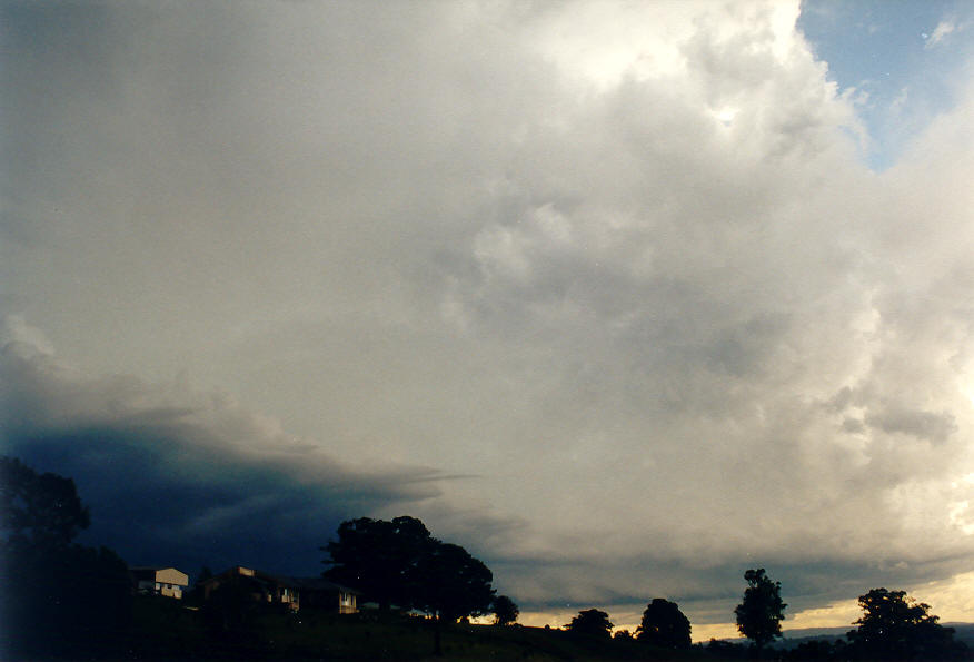 cumulonimbus thunderstorm_base : McLeans Ridges, NSW   25 January 2004
