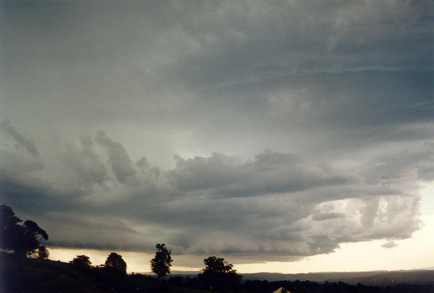 cumulonimbus thunderstorm_base : McLeans Ridges, NSW   25 January 2004