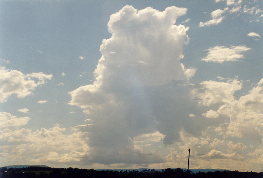 cumulus congestus : S of Kyogle, NSW   26 January 2004