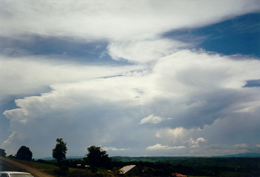 thunderstorm cumulonimbus_incus : McLeans Ridges, NSW   26 January 2004