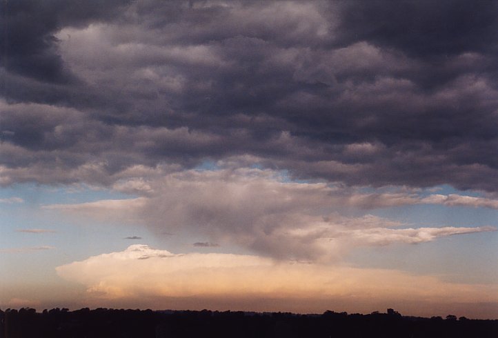 contributions received : Schofields, NSW<BR>Photo by Geoff Thurtell   30 January 2004