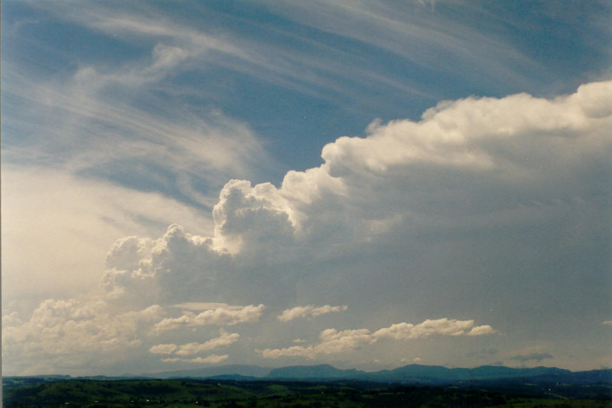 thunderstorm cumulonimbus_incus : McLeans Ridges, NSW   30 January 2004