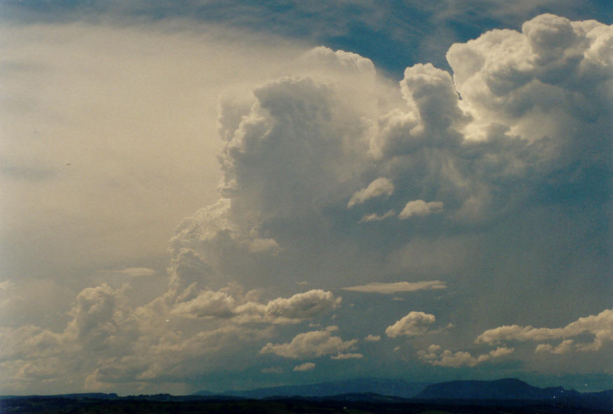 thunderstorm cumulonimbus_incus : McLeans Ridges, NSW   30 January 2004