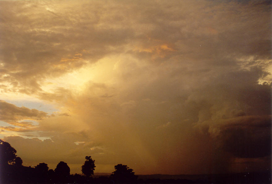 sunset sunset_pictures : McLeans Ridges, NSW   19 February 2004