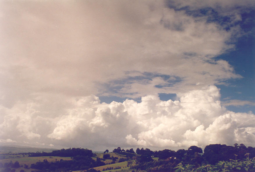 altocumulus altocumulus_cloud : McLeans Ridges, NSW   6 April 2004