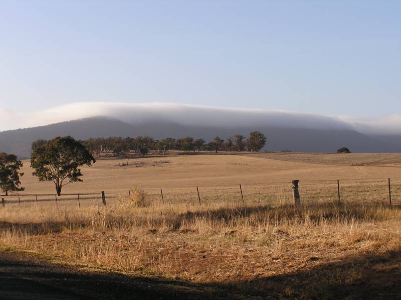 contributions received : Cootamundra, NSW<BR>Photo by David Hamilton   2 May 2004