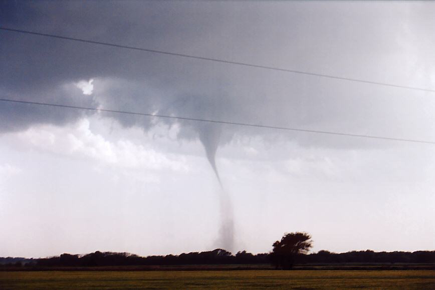 favourites jimmy_deguara : Sharon, Kansas, USA   12 May 2004