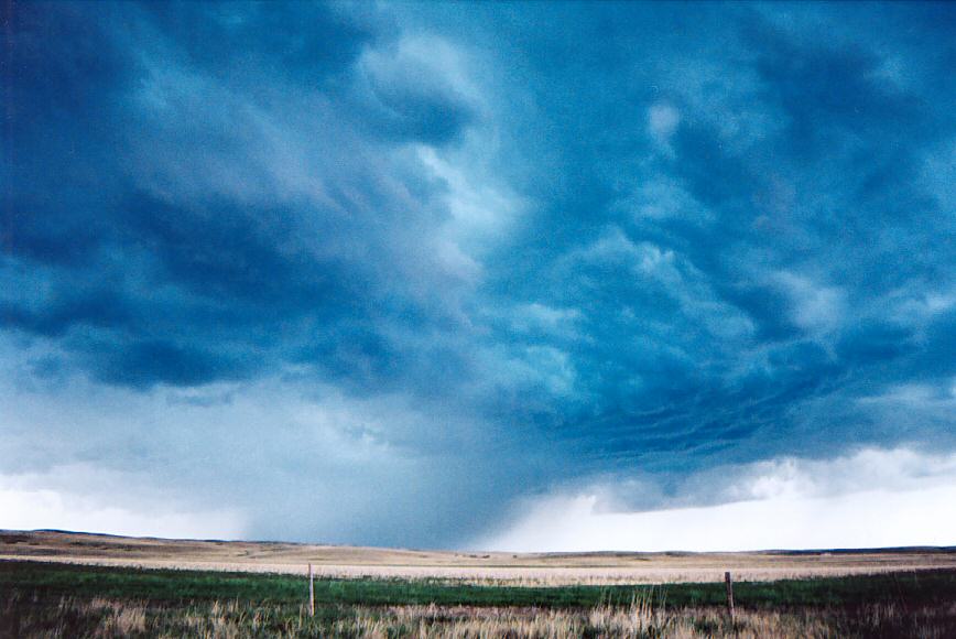 cumulonimbus thunderstorm_base : near Martin, South Dakota, USA   23 May 2004