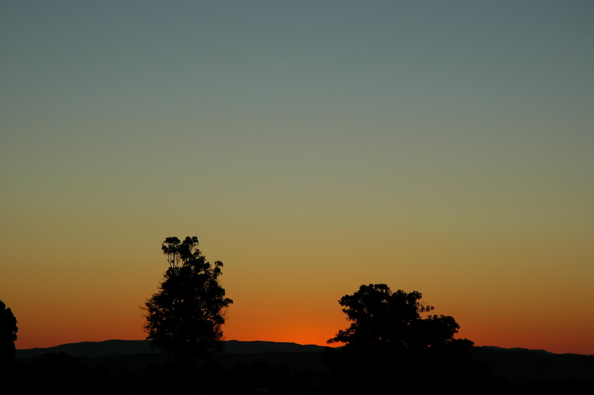 favourites michael_bath : McLeans Ridges, NSW   5 July 2004