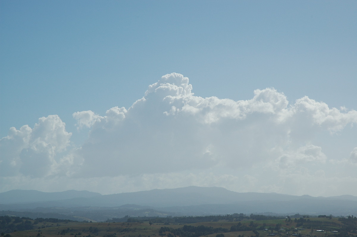 cumulus congestus : McLeans Ridges, NSW   12 July 2004