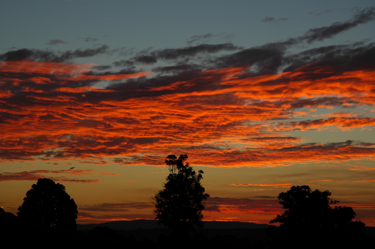 altocumulus altocumulus_cloud : McLeans Ridges, NSW   13 July 2004