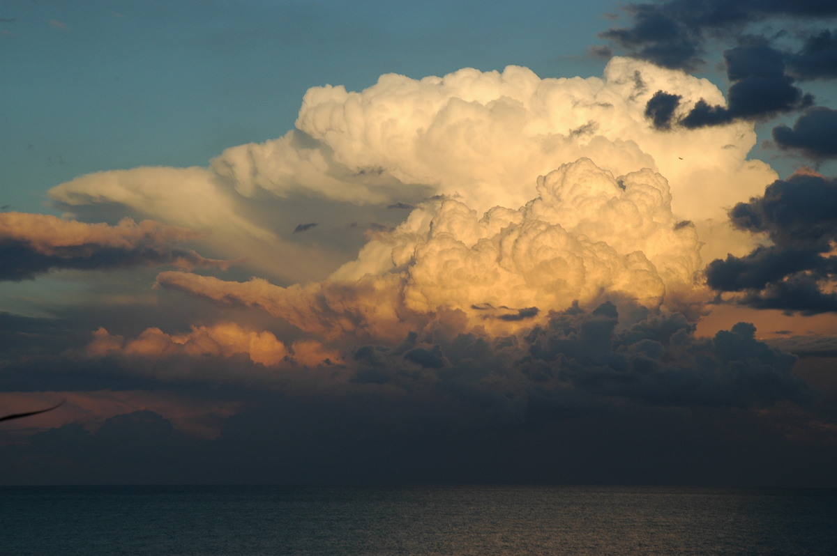 thunderstorm cumulonimbus_incus : Cabarita, NSW   17 July 2004