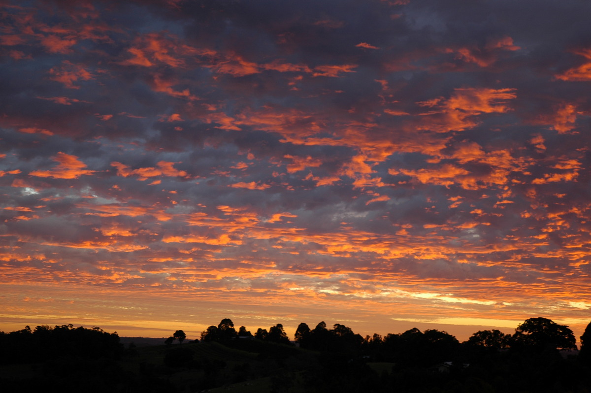 sunrise sunrise_pictures : McLeans Ridges, NSW   26 July 2004
