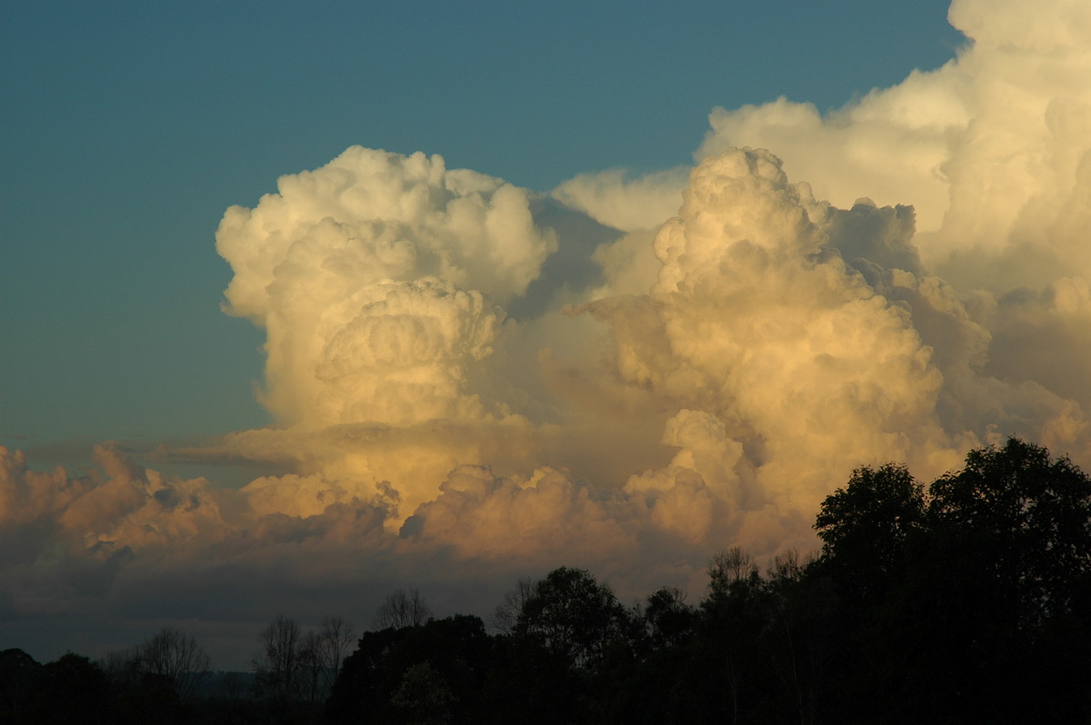 updraft thunderstorm_updrafts : McLeans Ridges, NSW   29 July 2004