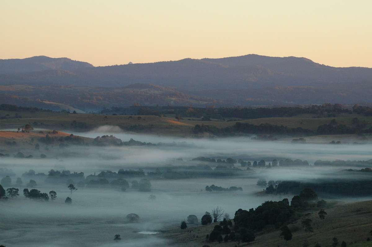 favourites michael_bath : McLeans Ridges, NSW   10 August 2004