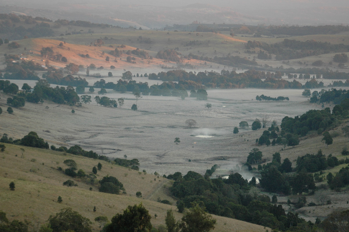 fogmist fog_mist_frost : McLeans Ridges, NSW   13 August 2004