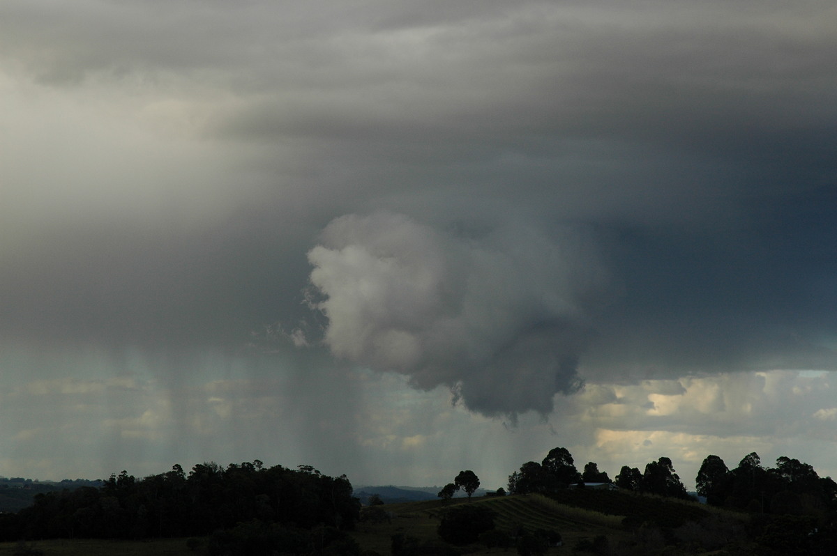 cumulonimbus thunderstorm_base : McLeans Ridges, NSW   18 August 2004