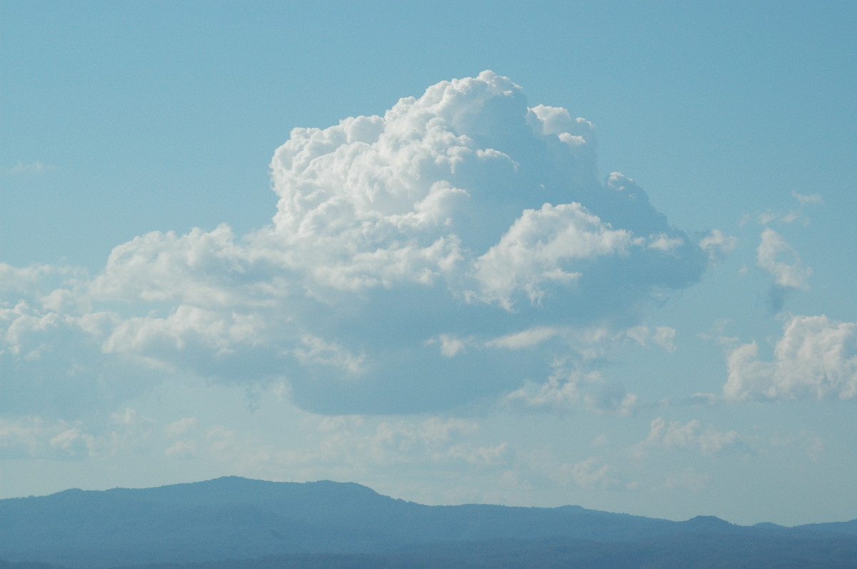 cumulus mediocris : McLeans Ridges, NSW   27 August 2004