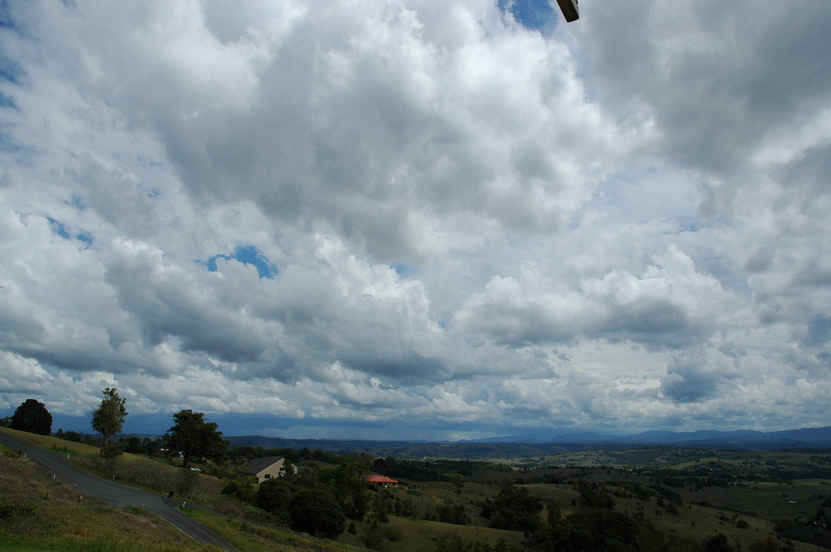 cumulus mediocris : McLeans Ridges, NSW   21 October 2004