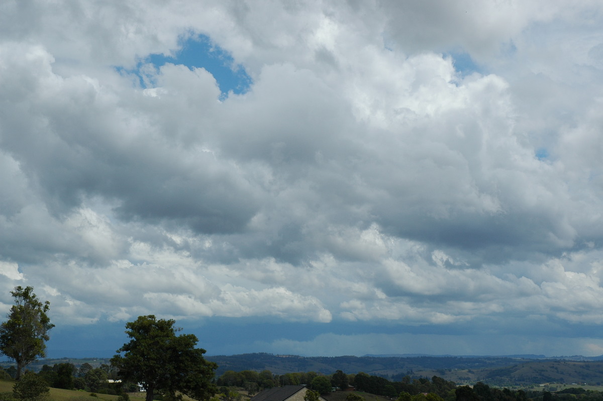 cumulonimbus thunderstorm_base : McLeans Ridges, NSW   21 October 2004