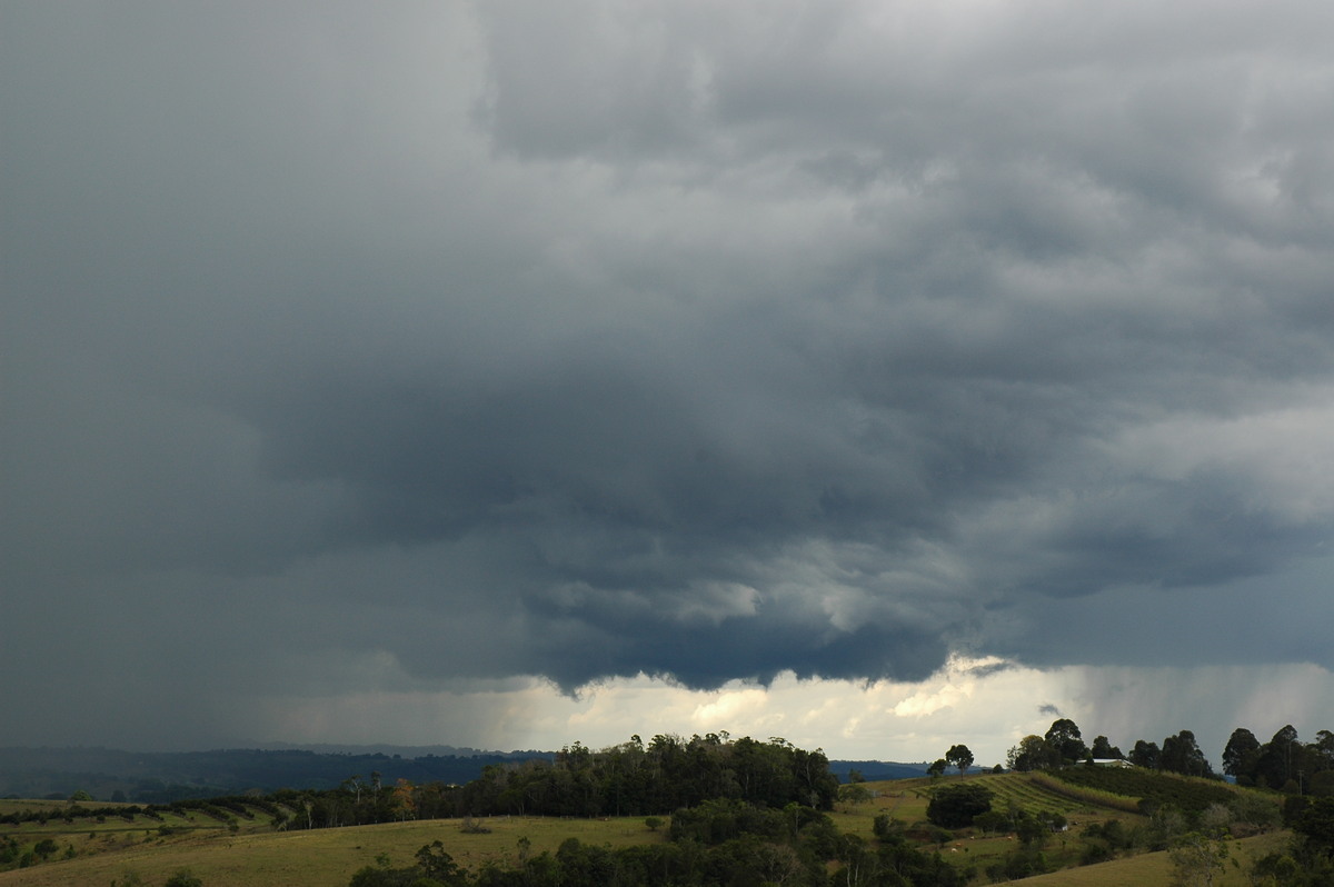 cumulonimbus thunderstorm_base : McLeans Ridges, NSW   21 October 2004