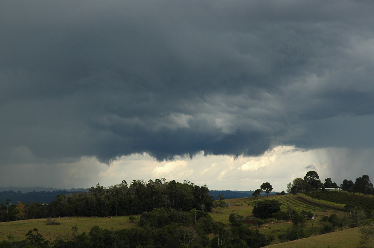 cumulonimbus thunderstorm_base : McLeans Ridges, NSW   21 October 2004