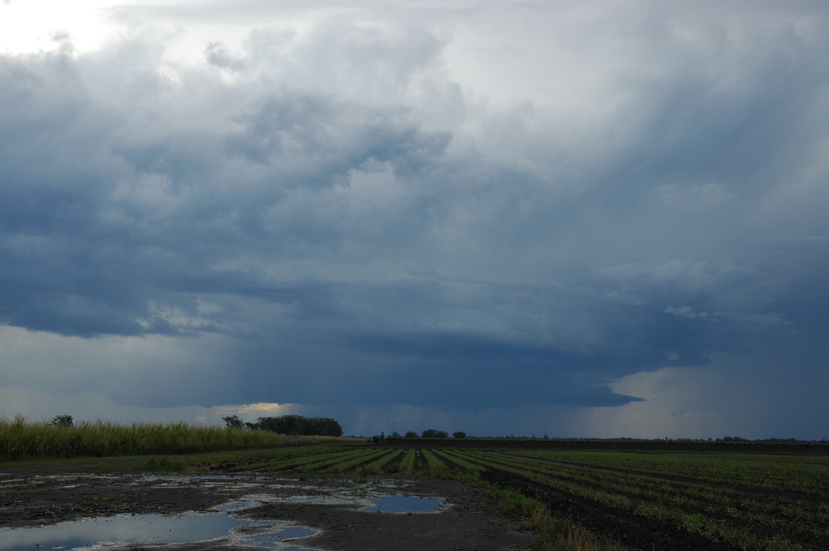 cumulonimbus thunderstorm_base : Tregeagle, NSW   21 October 2004