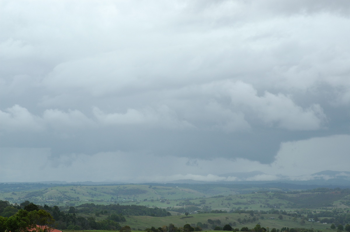 cumulonimbus thunderstorm_base : McLeans Ridges, NSW   30 October 2004