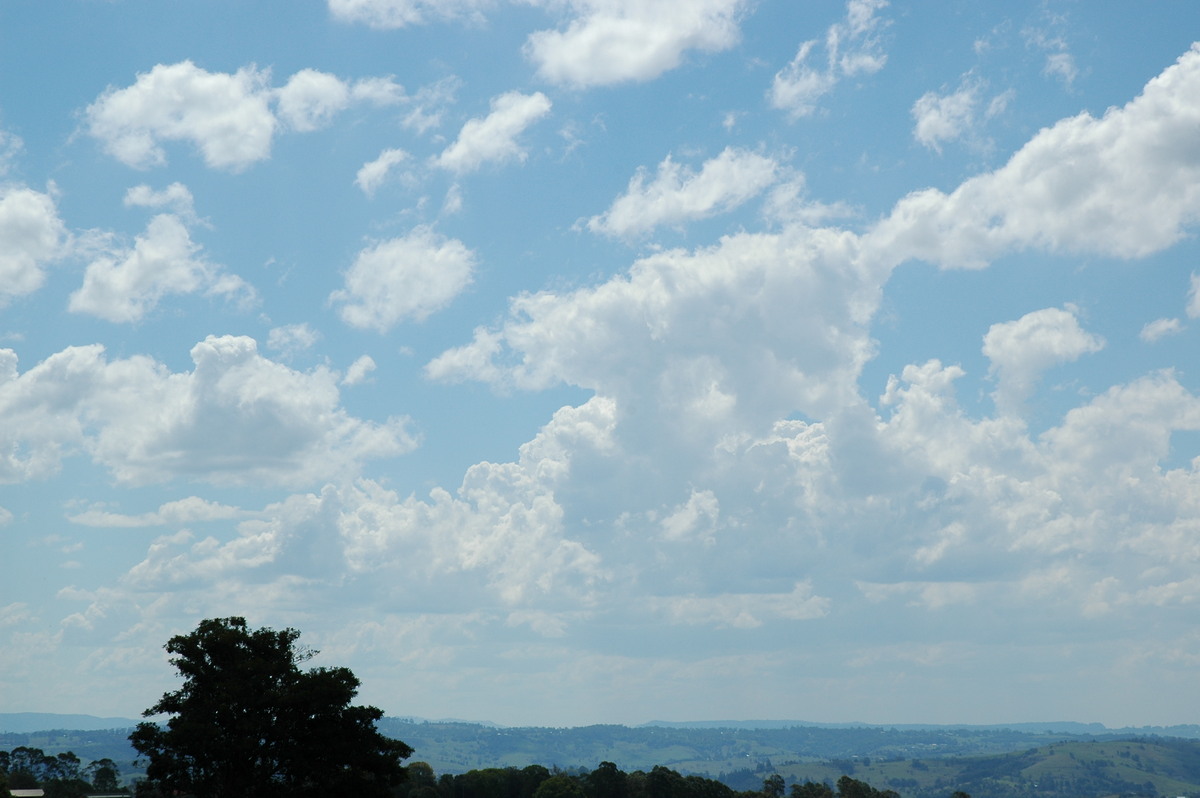 cumulus mediocris : McLeans Ridges, NSW   3 November 2004