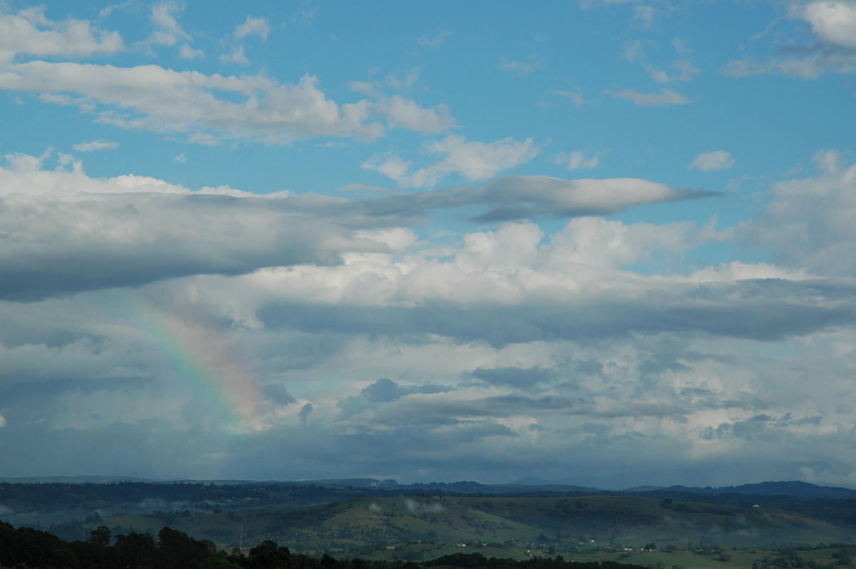 cumulus mediocris : McLeans Ridges, NSW   6 November 2004