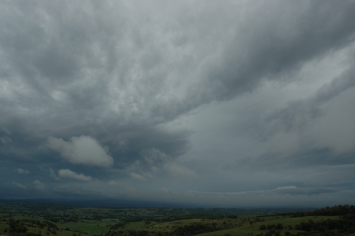 stratus stratus_cloud : McLeans Ridges, NSW   7 November 2004