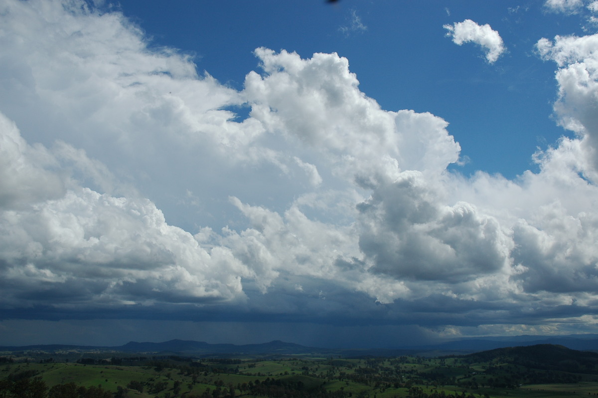cumulus congestus : Mallanganee NSW   9 November 2004