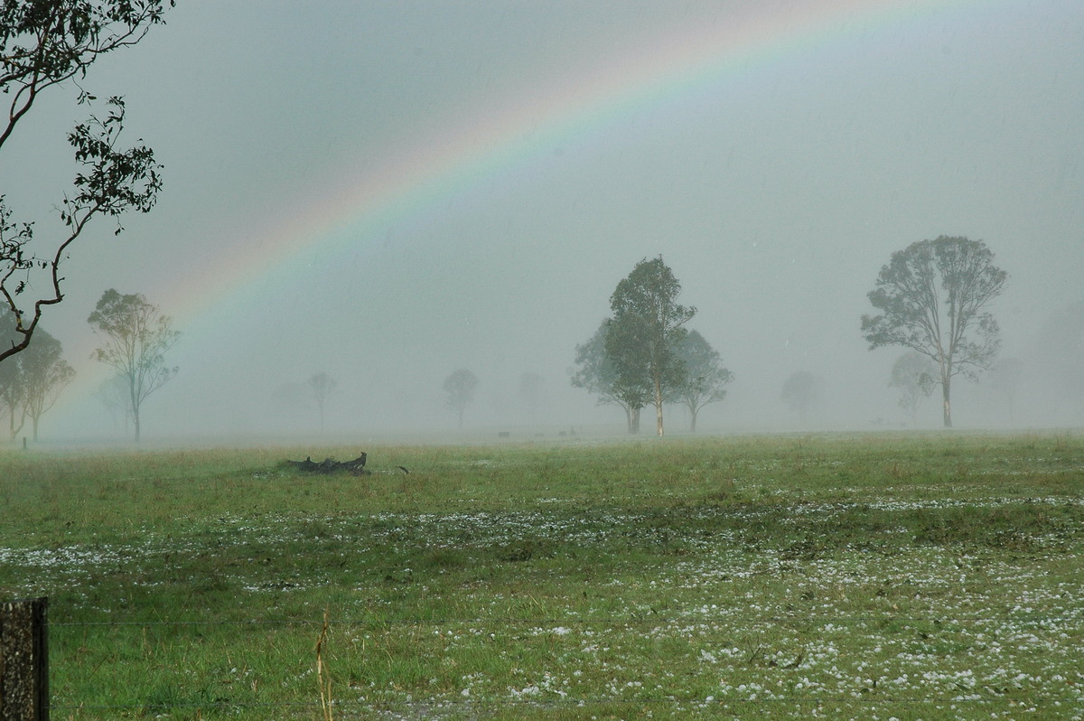 hailstones hail_stones : Leeville, NSW   9 November 2004