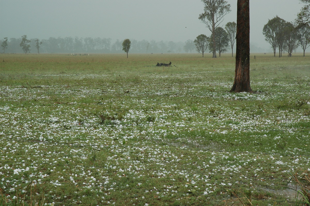 hailstones hail_stones : Leeville, NSW   9 November 2004