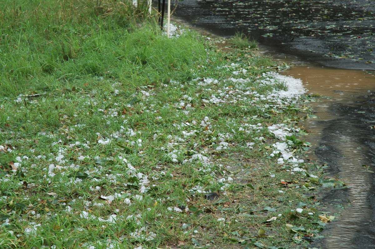 hailstones hail_stones : Leeville, NSW   9 November 2004