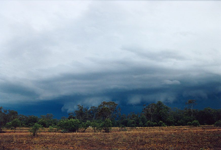 cumulonimbus supercell_thunderstorm : 20km W of Nyngan, NSW   7 December 2004