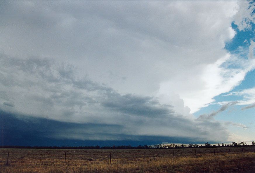 favourites jimmy_deguara : W of Nyngan, NSW   7 December 2004