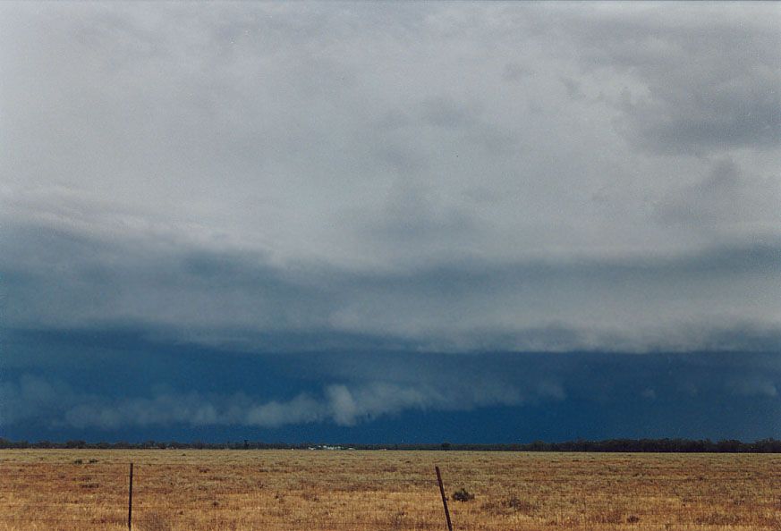 wallcloud thunderstorm_wall_cloud : 20km W of Nyngan, NSW   7 December 2004