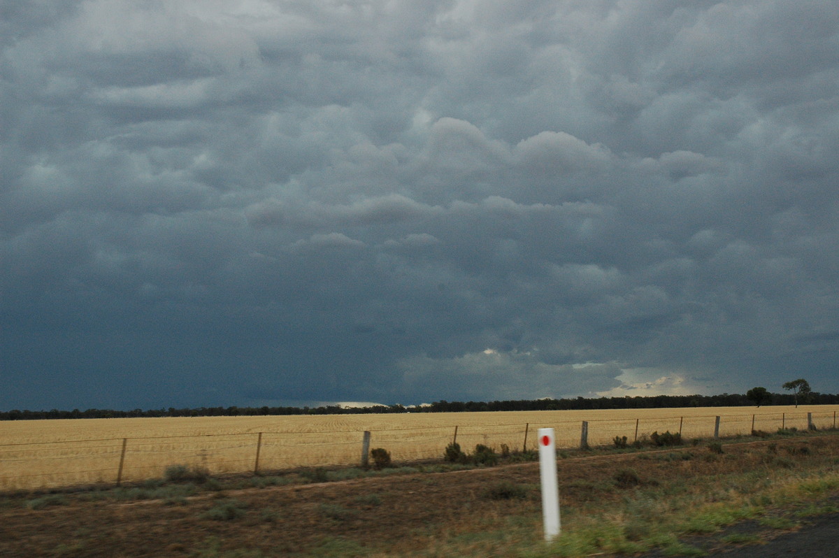 cumulonimbus thunderstorm_base : E of Quambone, NSW   7 December 2004