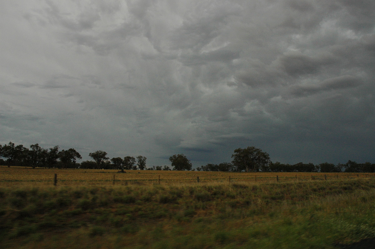 cumulonimbus thunderstorm_base : E of Quambone, NSW   7 December 2004