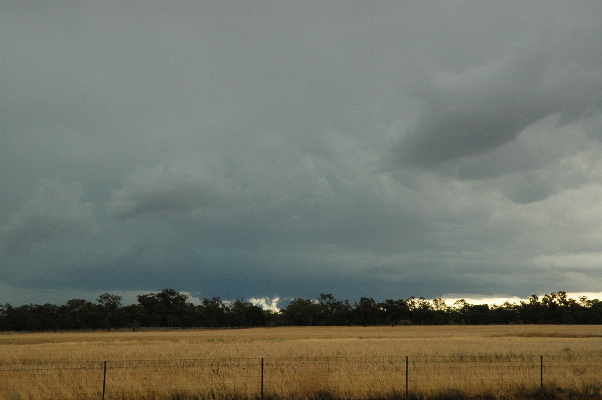 cumulonimbus thunderstorm_base : Quambone, NSW   7 December 2004