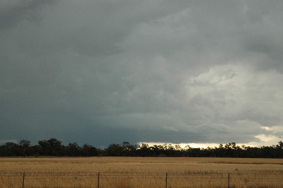 cumulonimbus thunderstorm_base : Quambone, NSW   7 December 2004