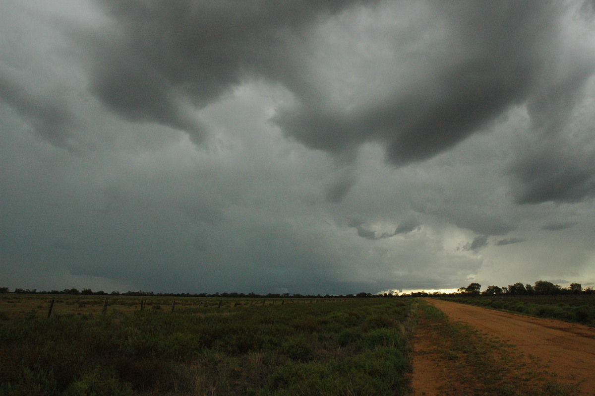 cumulonimbus supercell_thunderstorm : Quambone, NSW   7 December 2004