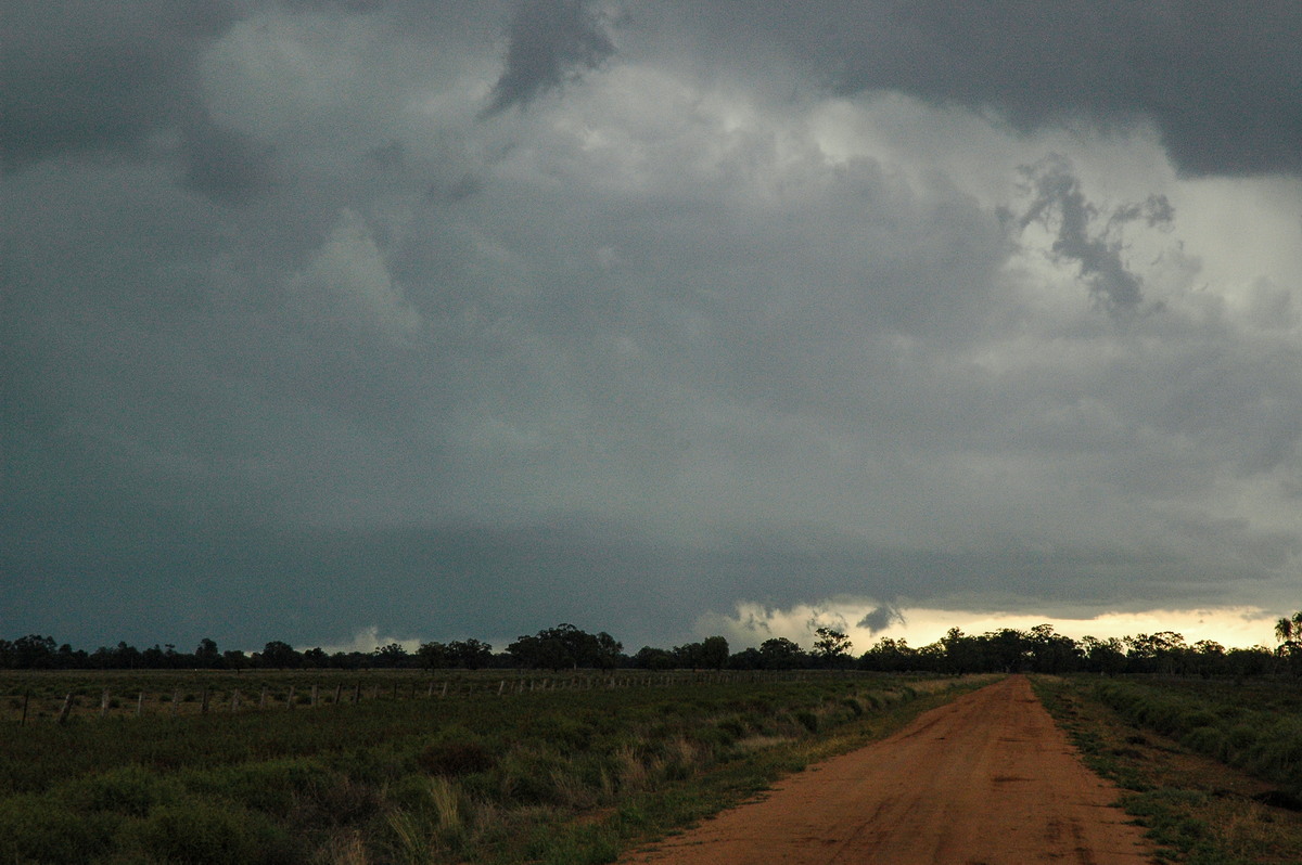 wallcloud thunderstorm_wall_cloud : Quambone, NSW   7 December 2004