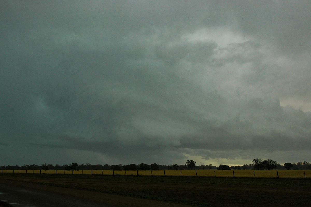 cumulonimbus thunderstorm_base : Quambone, NSW   7 December 2004