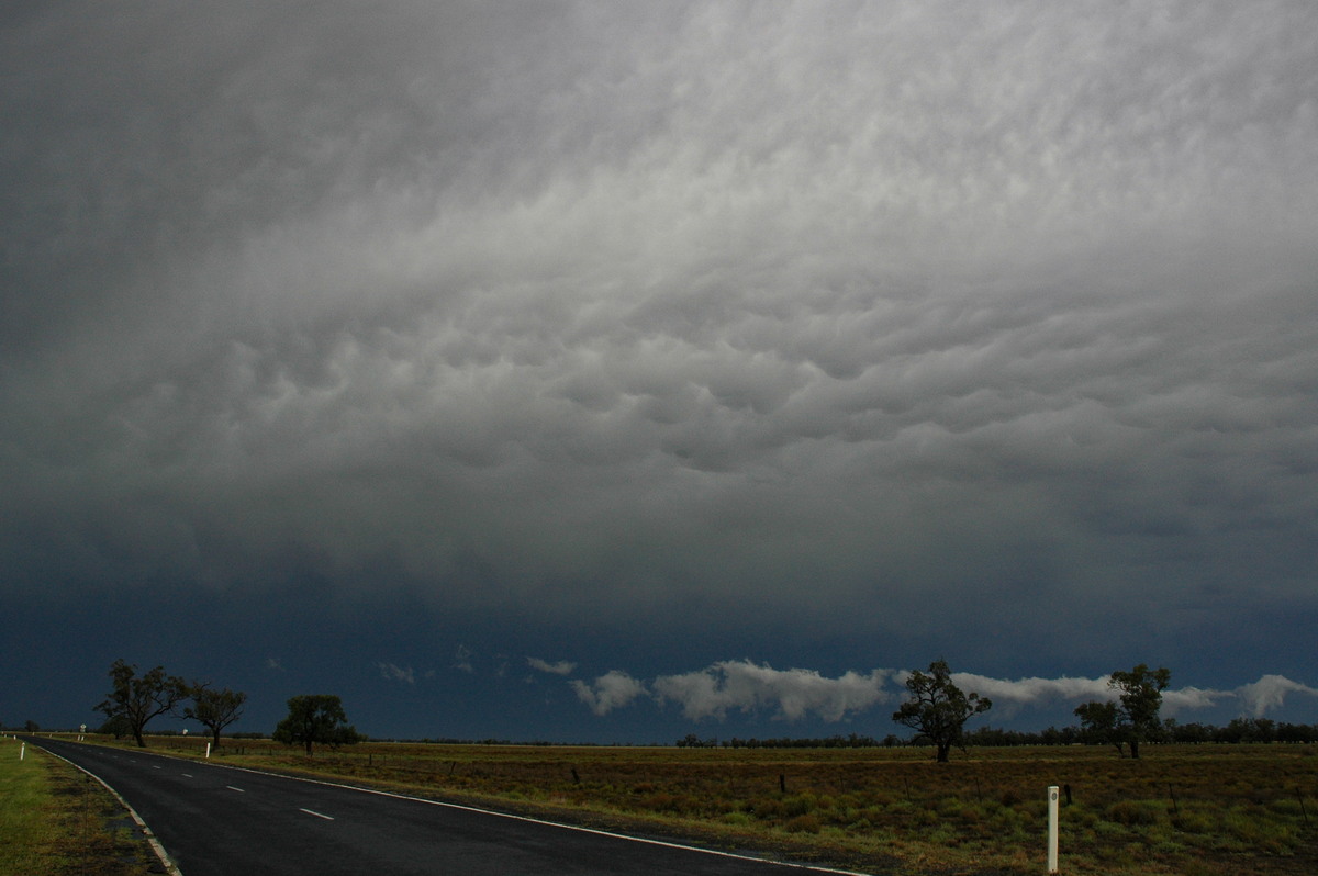 mammatus mammatus_cloud : Coonamble, NSW   7 December 2004